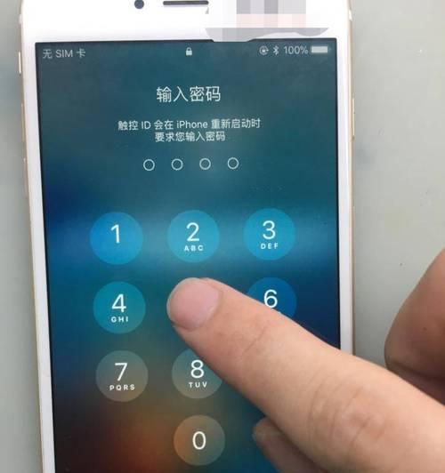 iPhone开启开发者模式的详细步骤（一步步教你打开iPhone的开发者选项）