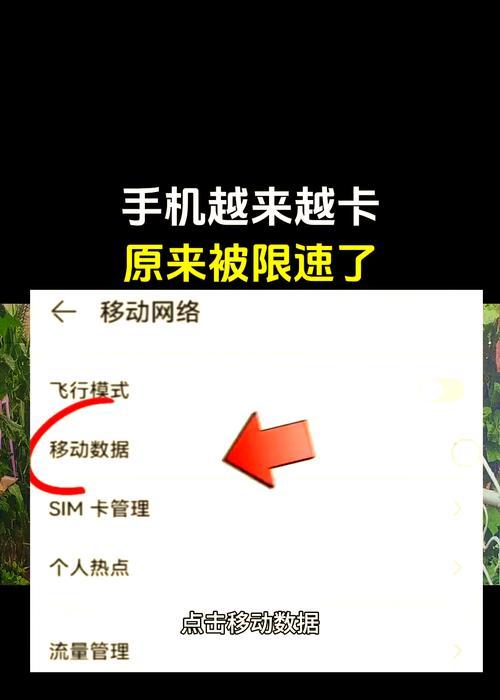 手机限速怎么恢复网速（解决手机限速的方法和技巧）