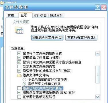 揭开文件隐藏扩展名的神秘面纱(掌握简单技巧) 揭开文件隐藏扩展名的神秘面纱(掌握简单技巧)