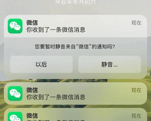 微信通知主题设置方法（让你的微信通知更加专业和个性化）