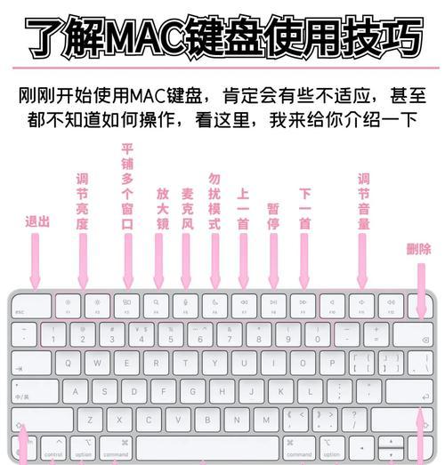打造最佳打字体验——如何设置苹果键盘(让你的键盘更顺手) 打造最佳打字体验——如何设置苹果键盘(让你的键盘更顺手)