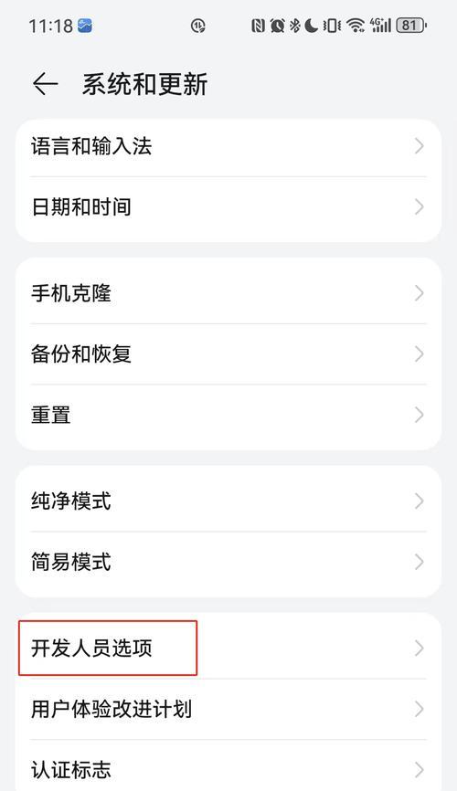 如何打开开发者选项（掌握开发者选项的方法）