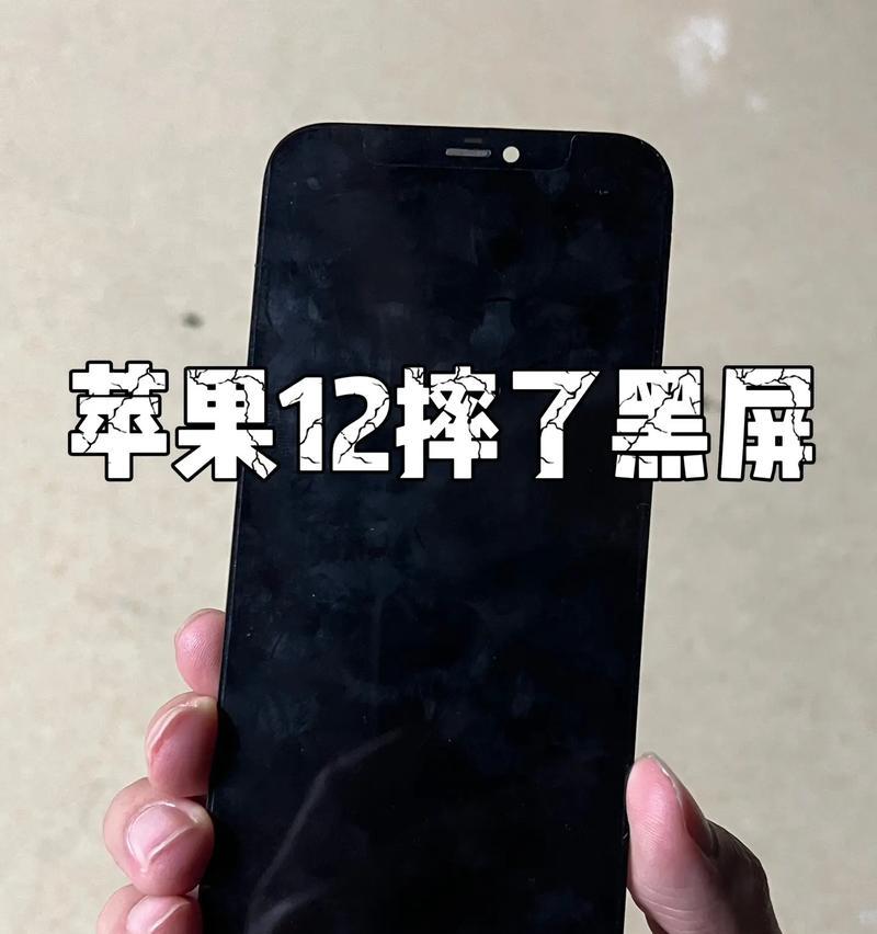 苹果手机黑屏打不开的原因（详解苹果手机出现黑屏的原因及解决方法）