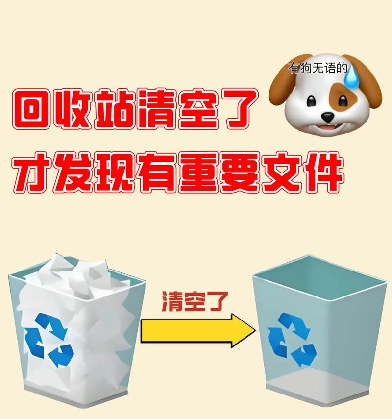 回收站：电脑文件不再无踪消失的保障