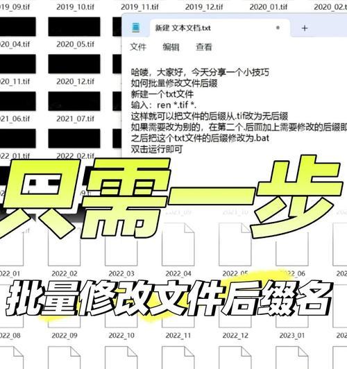 如何修改文件属性（掌握文件属性修改技巧）