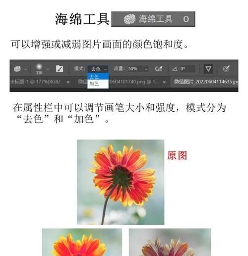 PS加深与减淡工具的使用技巧(打造细致的画面效果) PS加深与减淡工具的使用技巧(打造细致的画面效果)