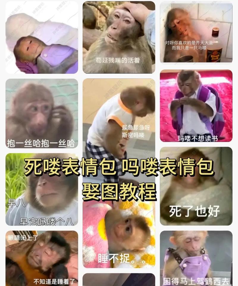 如何保存抖音中的表情包(抖音表情包保存方法详解) 如何保存抖音中的表情包(抖音表情包保存方法详解)