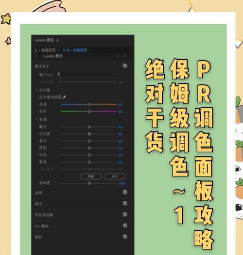 pr局部磨皮教程，轻松实现完美肌肤（一步步教你如何使用pr局部磨皮技巧）