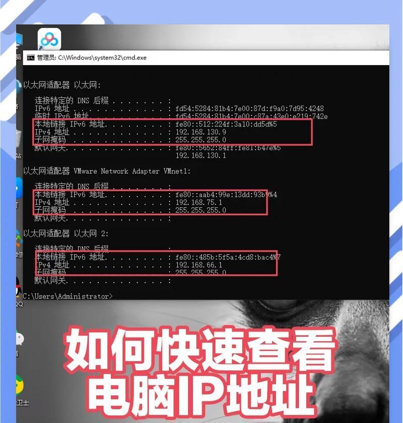 IP地址与MAC地址的区别(网络通信的两种地址体系及其特点) IP地址与MAC地址的区别(网络通信的两种地址体系及其特点)