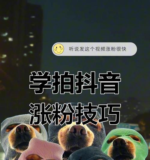 新手拍视频,快速吸粉法则(15个技巧教你用视频吸引更多的粉丝) 新手拍视频,快速吸粉法则(15个技巧教你用视频吸引更多的粉丝)