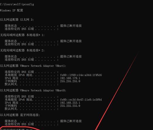 利用CMD查询IP地址(一键获取网络诊断信息) 利用CMD查询IP地址(一键获取网络诊断信息)