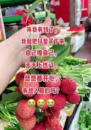 抖音上热门100元有用吗(这些100元商品值不值得买) 抖音上热门100元有用吗(这些100元商品值不值得买)