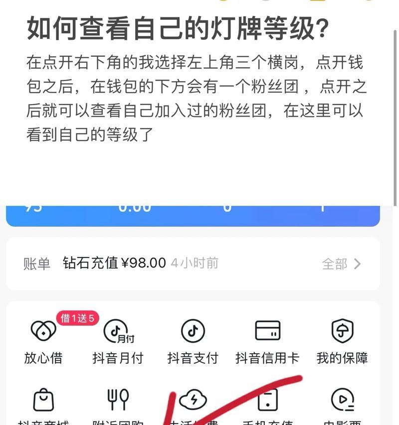 抖音粉丝灯牌等级查询方法（如何查看自己或他人的抖音粉丝等级与互动情况）