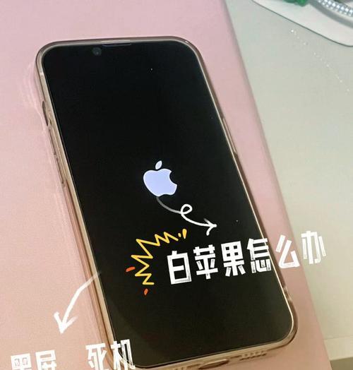苹果手机无法开机原因剖析（揭秘苹果手机长时间充电无法开机的真相）