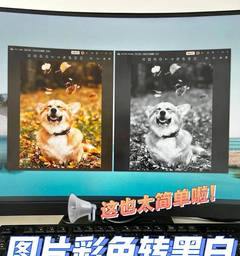 黑白照片变彩色软件,让回忆更鲜活(让历史重现色彩) 黑白照片变彩色软件,让回忆更鲜活(让历史重现色彩)