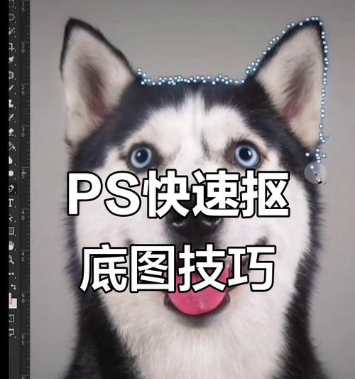 PS套索工具怎么用（掌握套索工具）