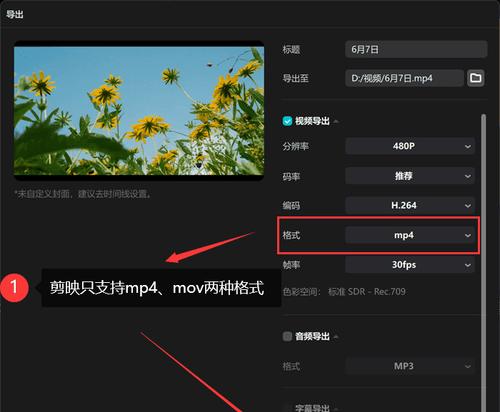 TS视频合并工具推荐（让你的TS视频轻松合并）