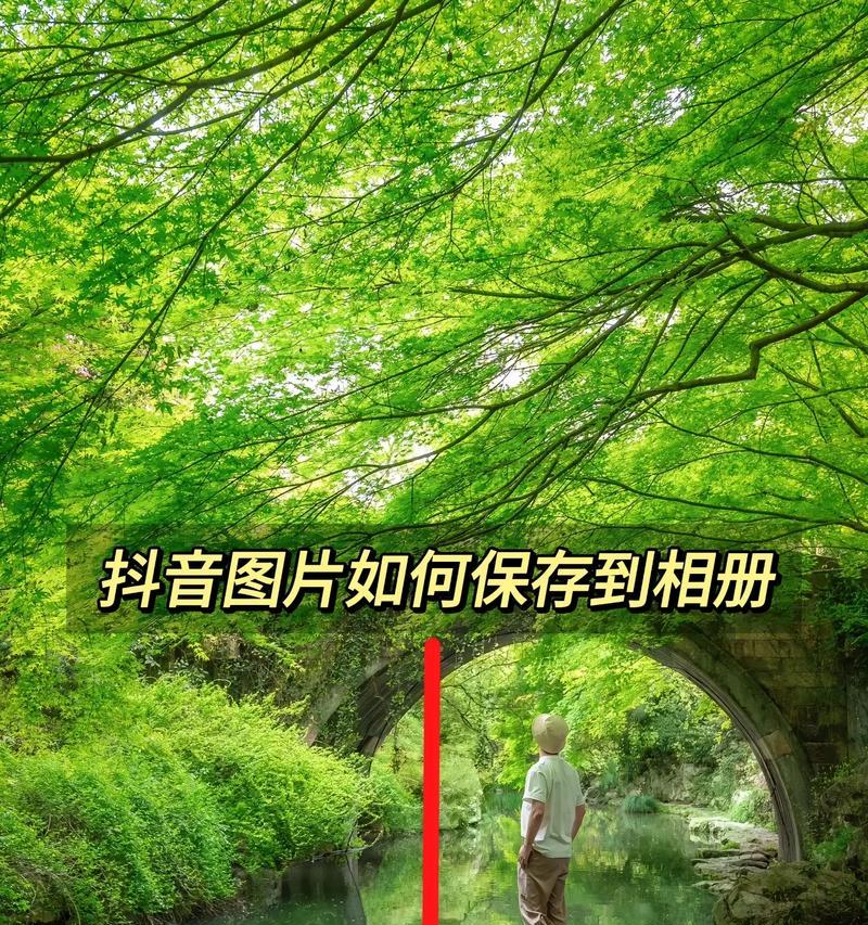 如何使用相册的照片在抖音上发视频(简单易懂的步骤带你上手) 如何使用相册的照片在抖音上发视频(简单易懂的步骤带你上手)