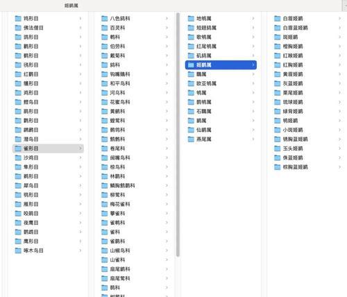 如何快速批量生成文件夹目录(教你使用几种简单的方法快速生成文件夹目录) 如何快速批量生成文件夹目录(教你使用几种简单的方法快速生成文件夹目录)
