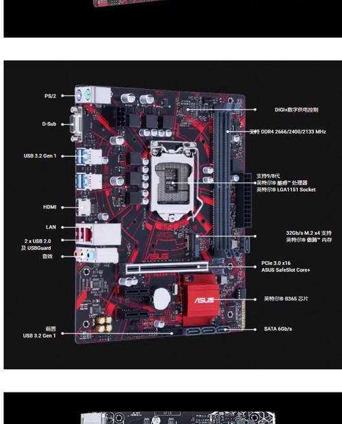 华硕B365主板详细参数解析（掌握这些参数）