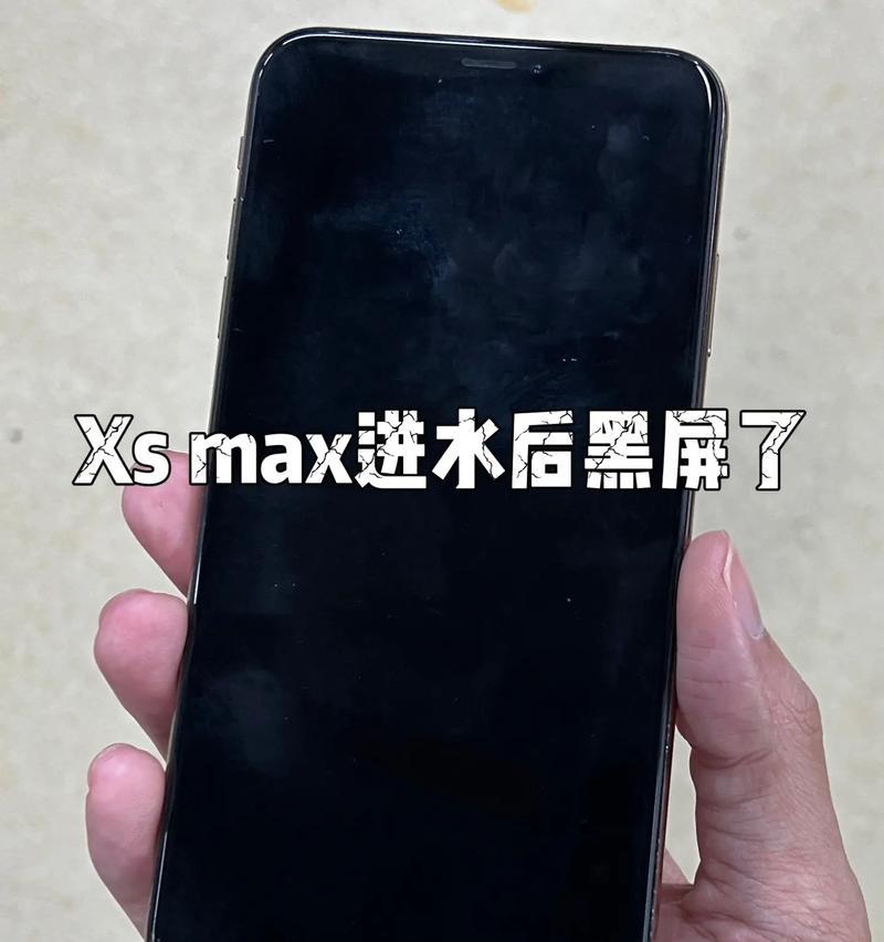 手机进水黑屏怎么办（掉进水里的手机到底能不能救）