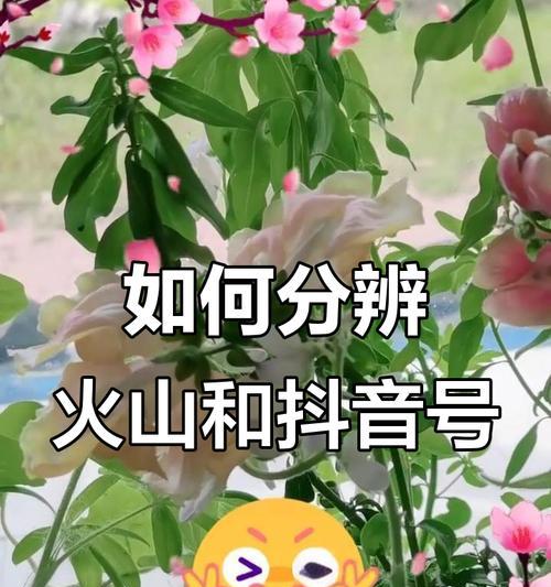 如何实现抖音和火山账号互通(掌握这些技巧) 如何实现抖音和火山账号互通(掌握这些技巧)