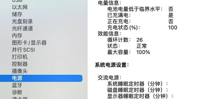 如何查看iPad电池健康（掌握这些技巧）