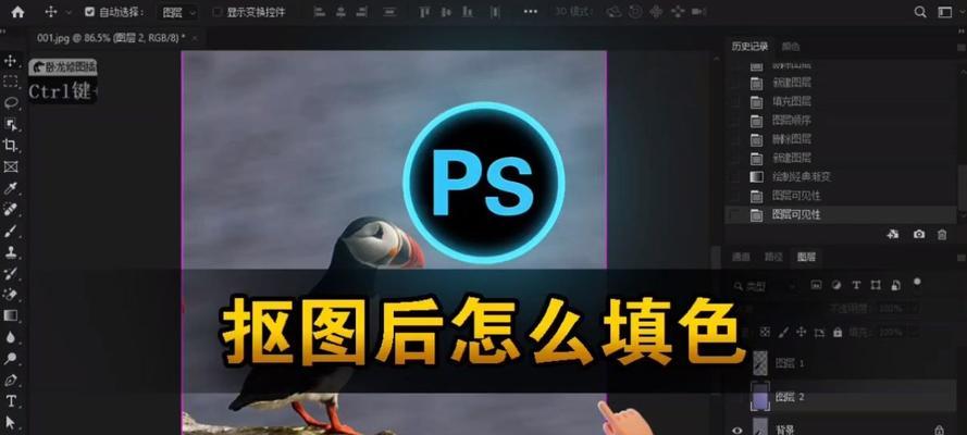 教你如何以PS填充背景色(简单易懂的操作方法) 教你如何以PS填充背景色(简单易懂的操作方法)