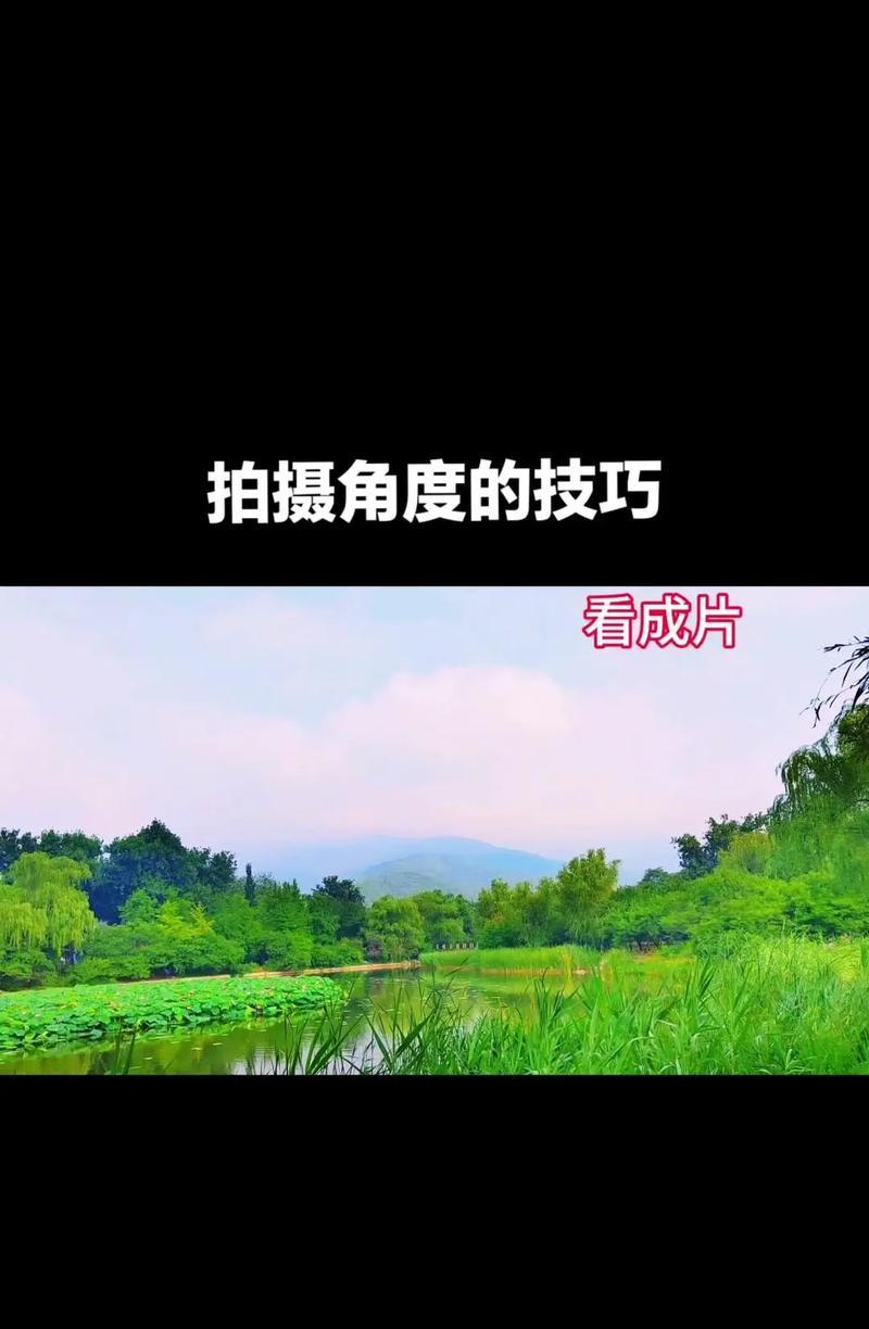 用手机拍摄视频的技巧和方法(让你的手机成为专业相机) 用手机拍摄视频的技巧和方法(让你的手机成为专业相机)
