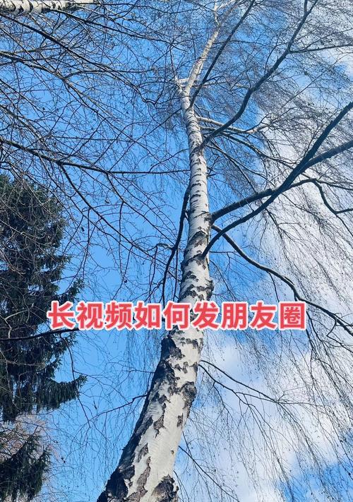 如何用朋友圈发高清视频（教你掌握视频拍摄和上传技巧）