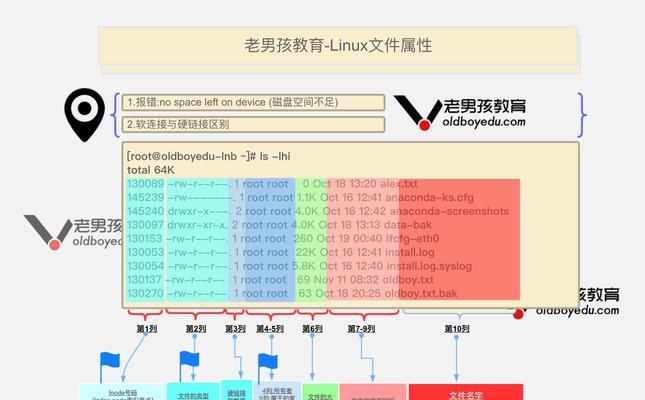 掌握bash命令，提高工作效率（学会bash命令）