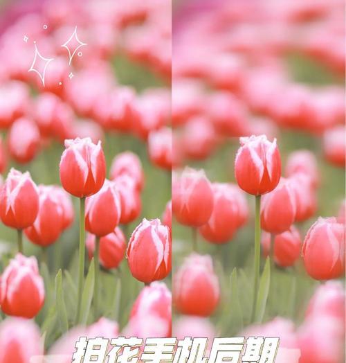 如何运用PS虚化效果打造高级照片（从原理到操作）