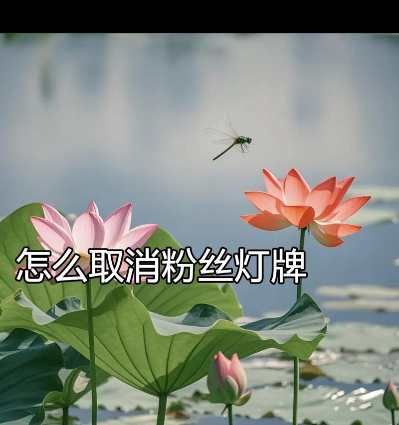 如何有效避免粉丝灯牌灭亡(以细节把控) 如何有效避免粉丝灯牌灭亡(以细节把控)