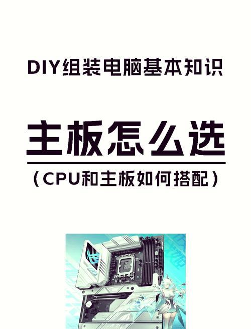 CPU与主板搭配教程（轻松了解如何选择适合的CPU和主板搭配）