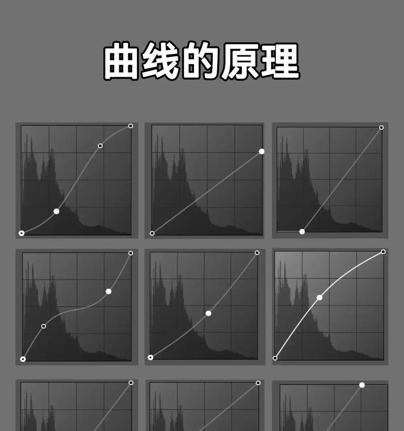 如何利用PS显示参考线（学习PS中使用参考线的技巧与方法）
